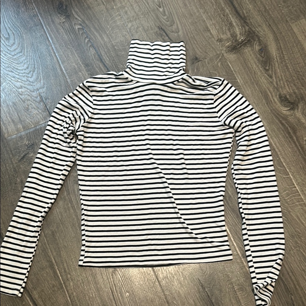 Striped Turtleneck Long Sleeve Top